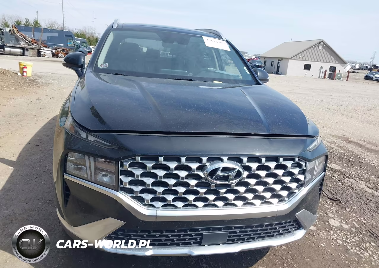 2021 Hyundai Santa Fe Hybrid Sel Premium VIN:KM8S3DA14MU012208 - 12