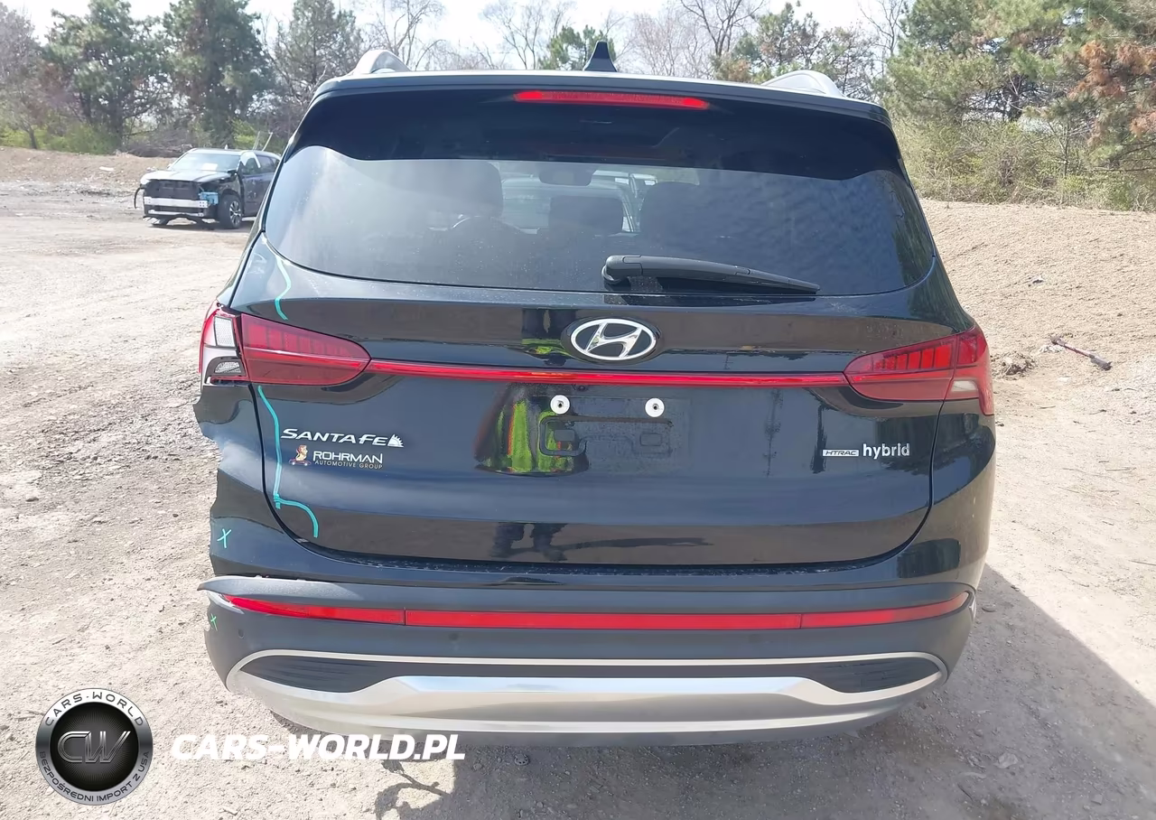 2021 Hyundai Santa Fe Hybrid Sel Premium VIN:KM8S3DA14MU012208 - 16