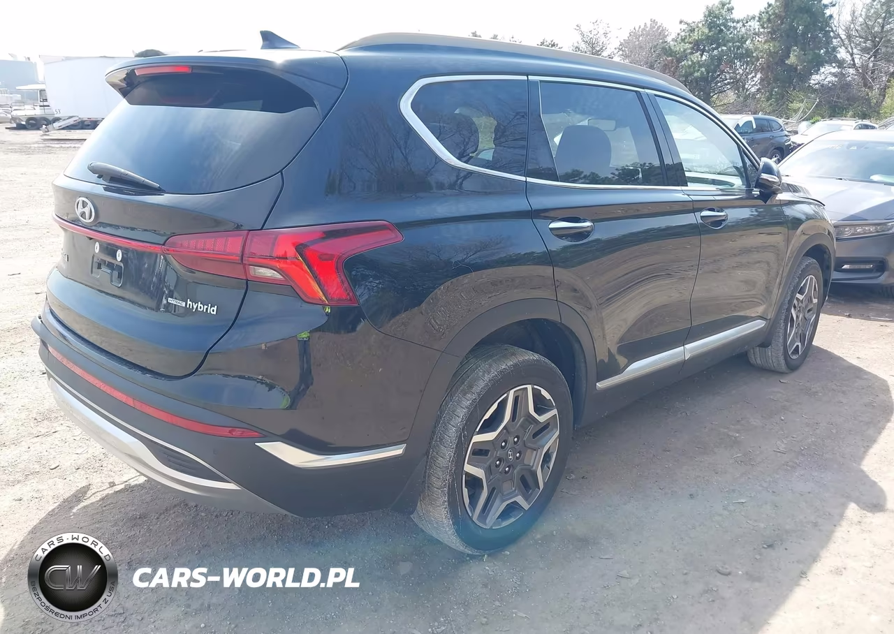 2021 Hyundai Santa Fe Hybrid Sel Premium VIN:KM8S3DA14MU012208 - 4