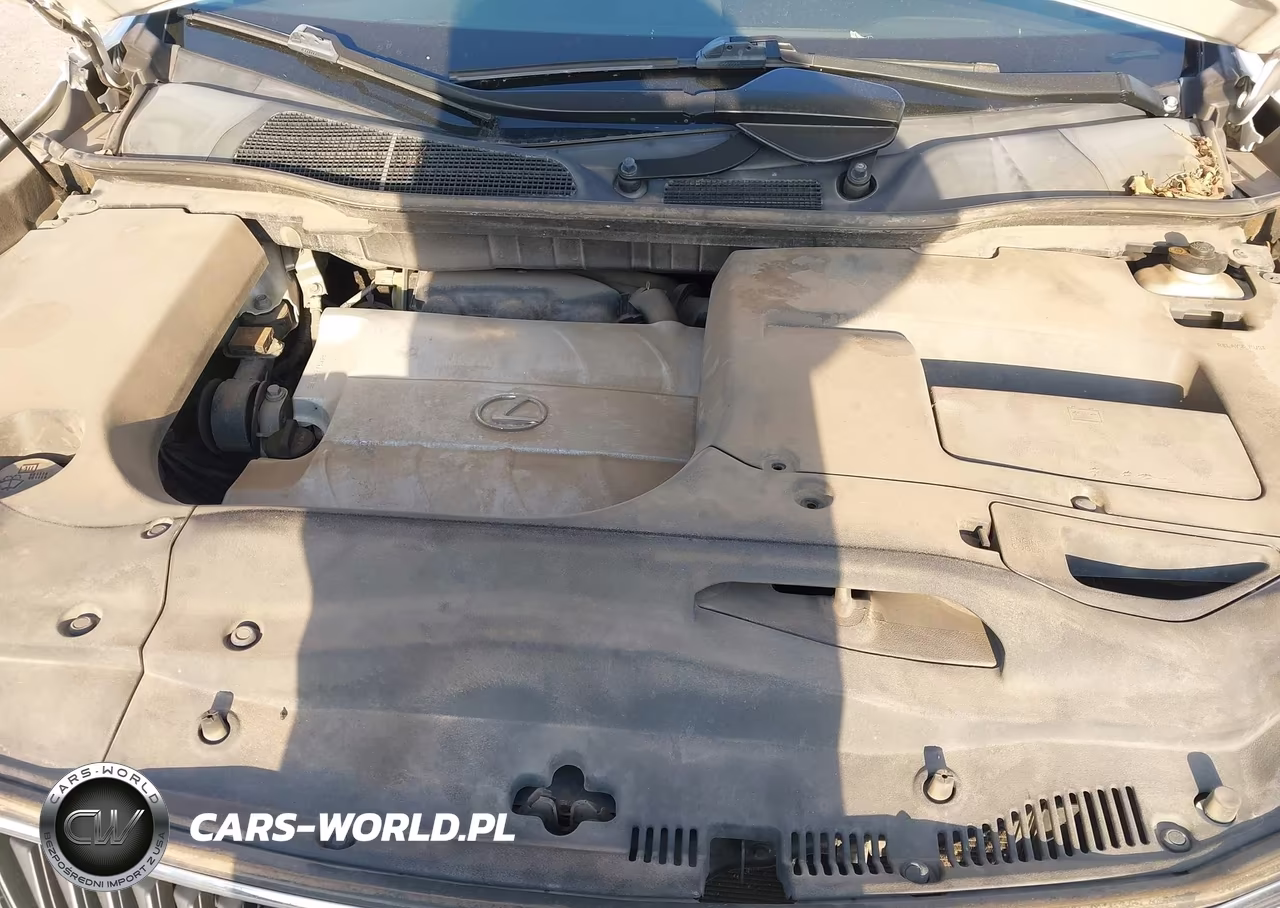 2010 Lexus Rx 350 VIN:JTJZK1BA3A2404555 - 10