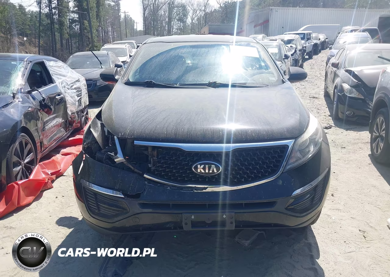 2014 Kia Sportage Lx VIN:KNDPBCAC3E7568454 - 12