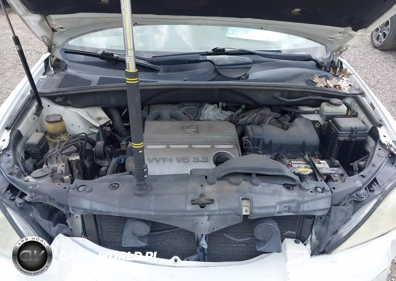 2004 Lexus Rx 330 VIN:JTJGA31U440009690 - 10