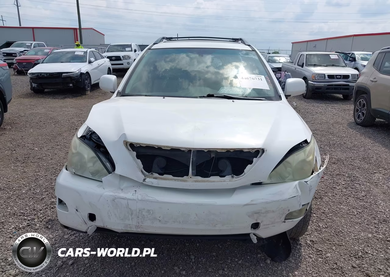 2004 Lexus Rx 330 VIN:JTJGA31U440009690 - 13