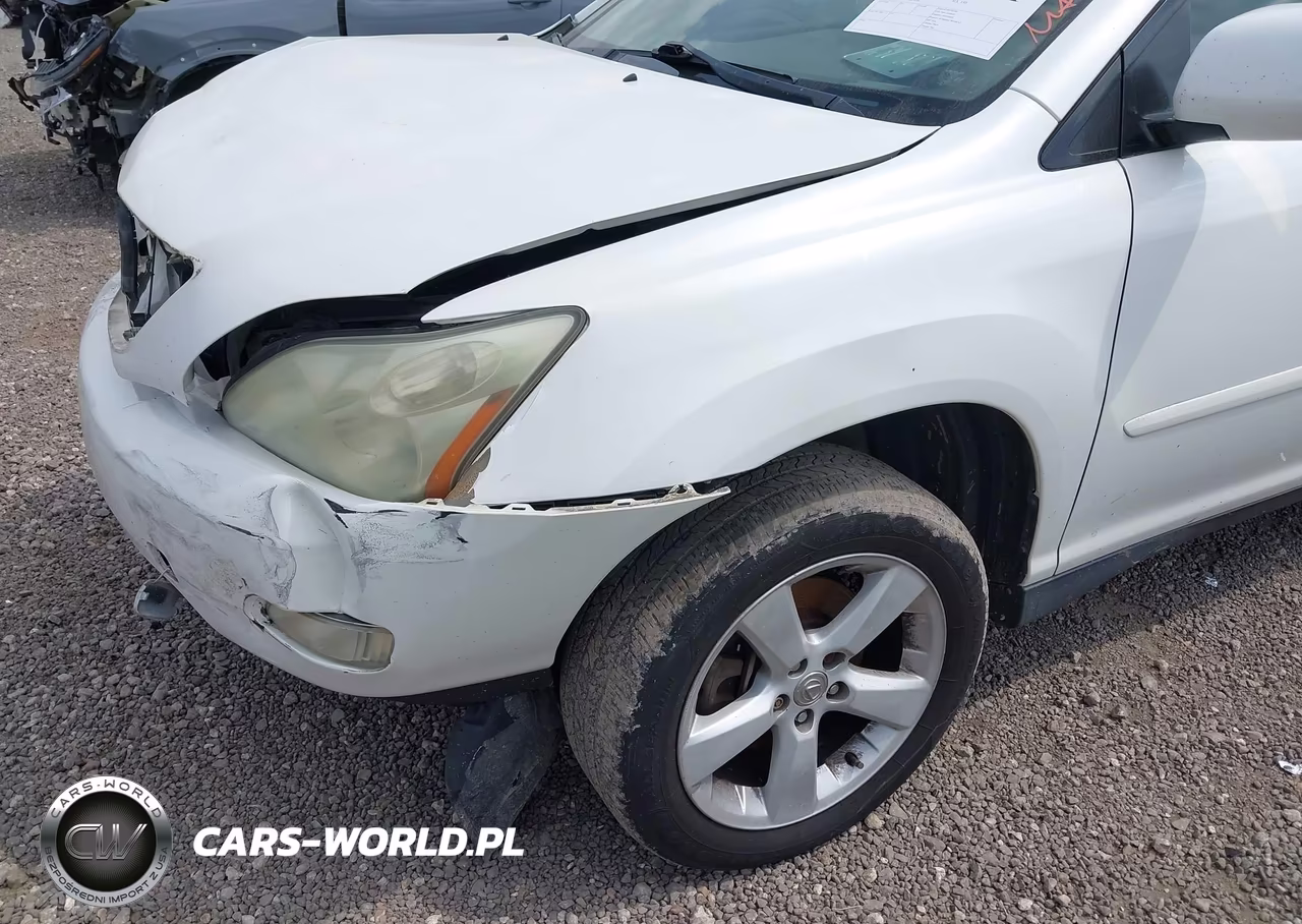 2004 Lexus Rx 330 VIN:JTJGA31U440009690 - 19