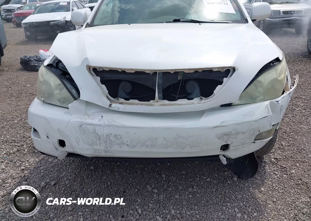 2004 Lexus Rx 330 VIN:JTJGA31U440009690 - 6