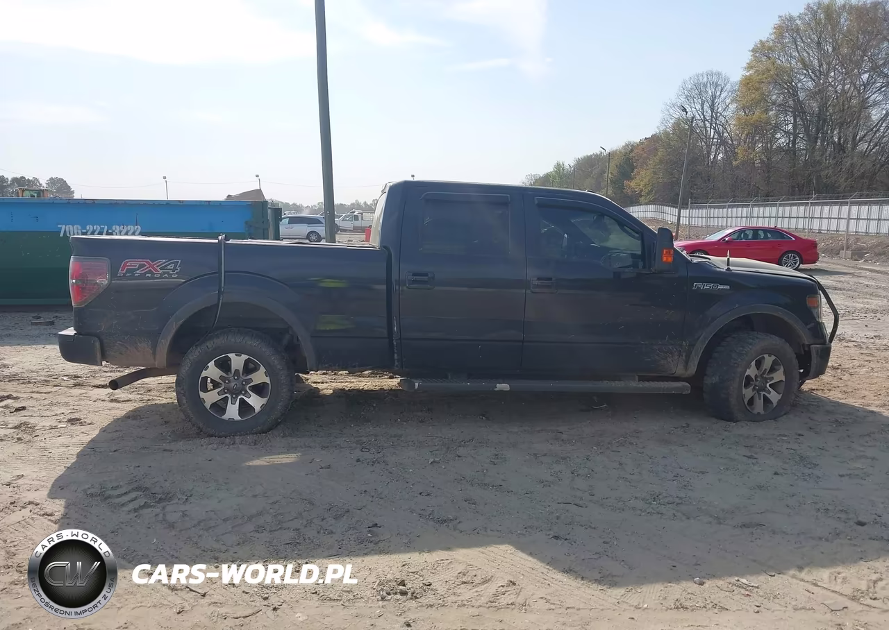 2013 Ford F-150 Fx4 VIN:1FTFW1EF1DKF12422 - 13