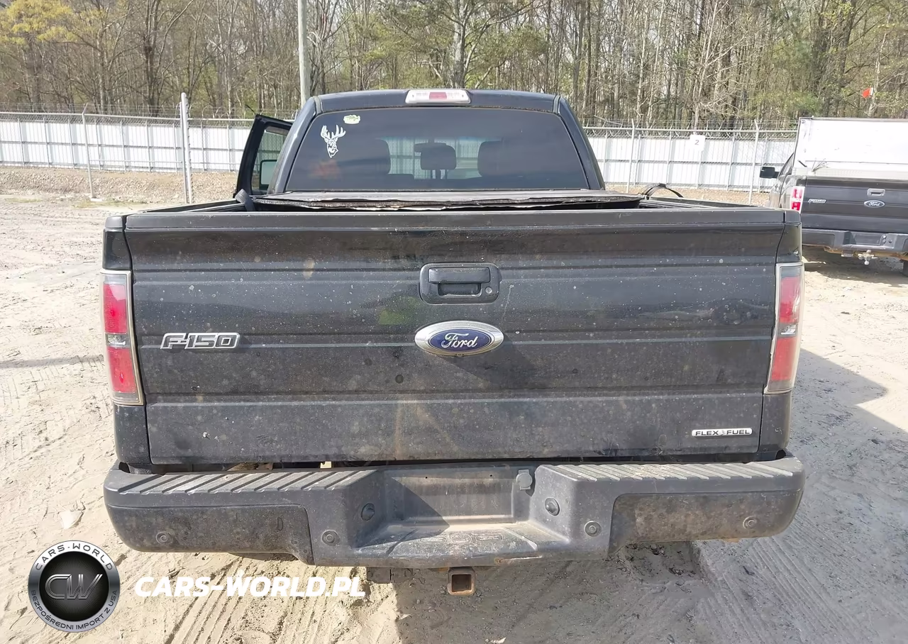 2013 Ford F-150 Fx4 VIN:1FTFW1EF1DKF12422 - 16