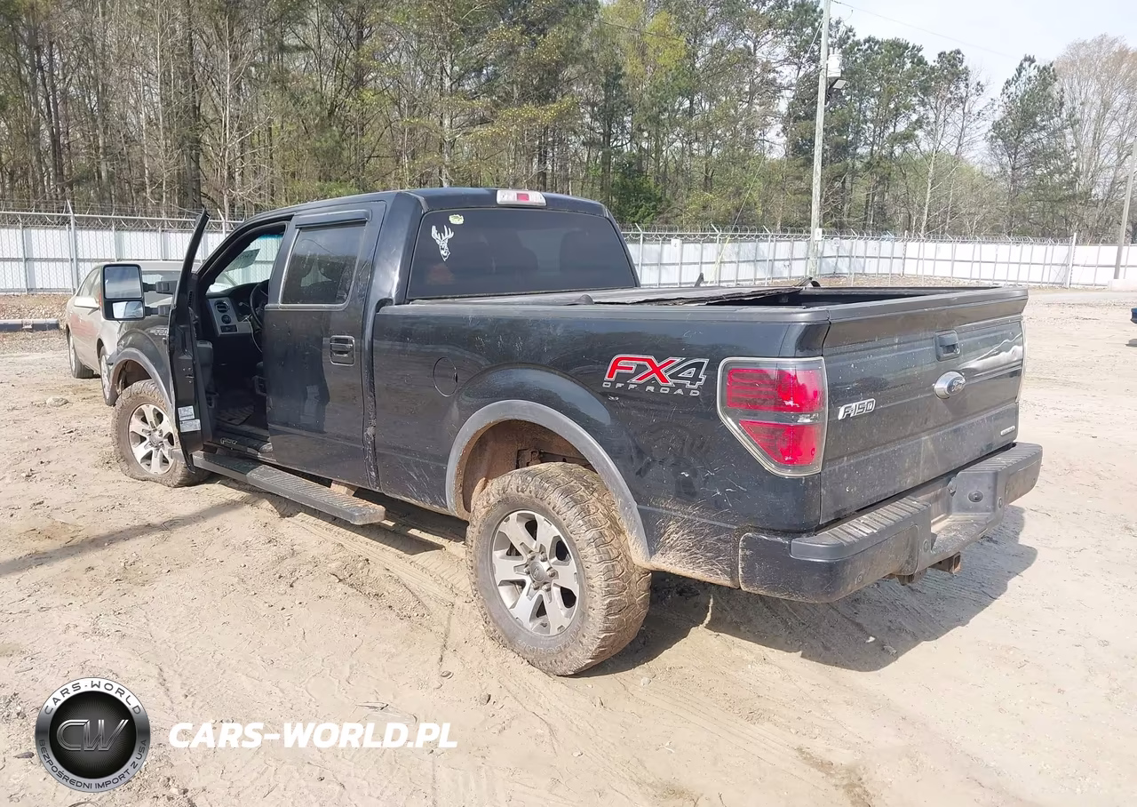 2013 Ford F-150 Fx4 VIN:1FTFW1EF1DKF12422 - 3