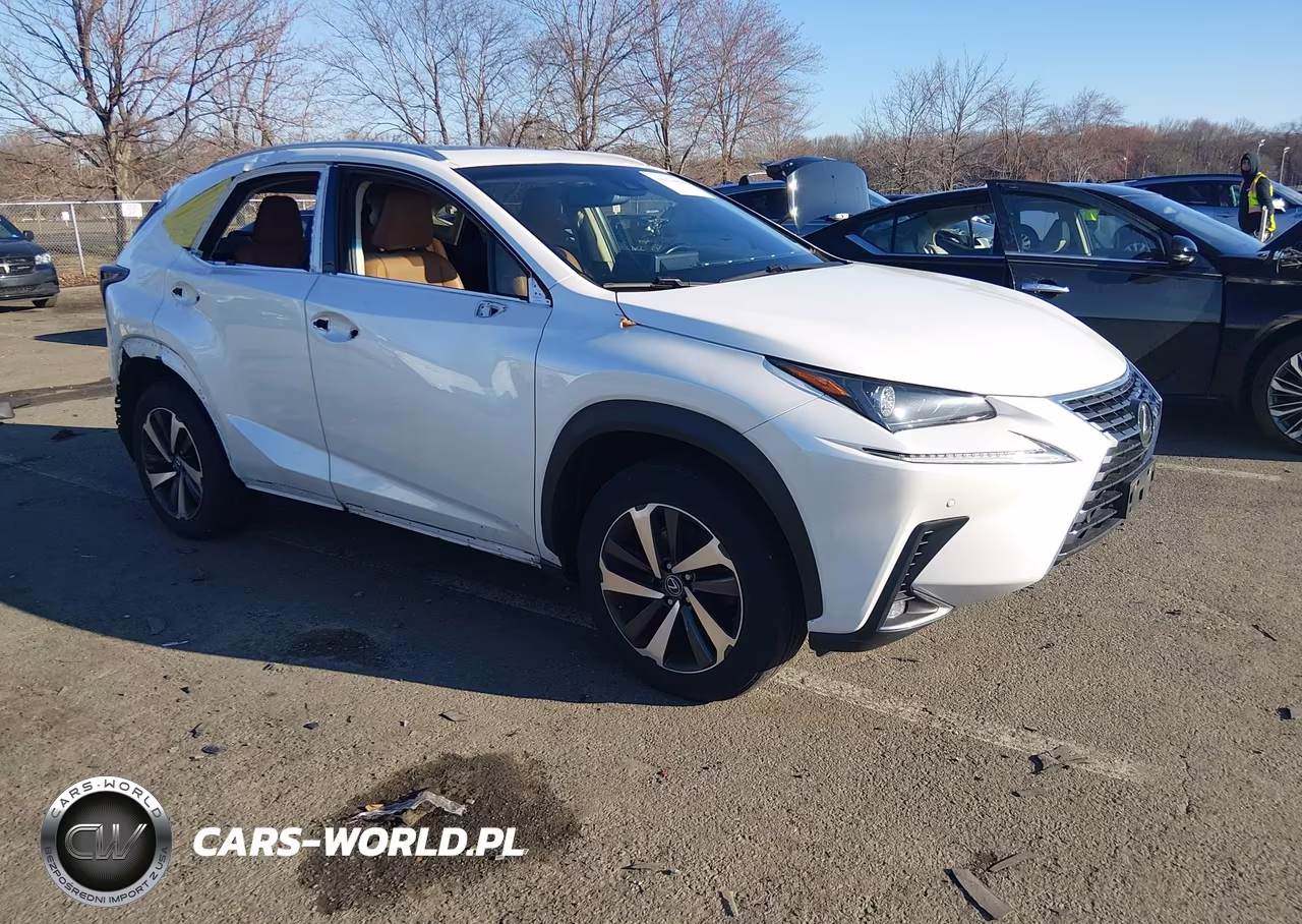 2019 Lexus Nx 300 – zdjęcie 1 z 16