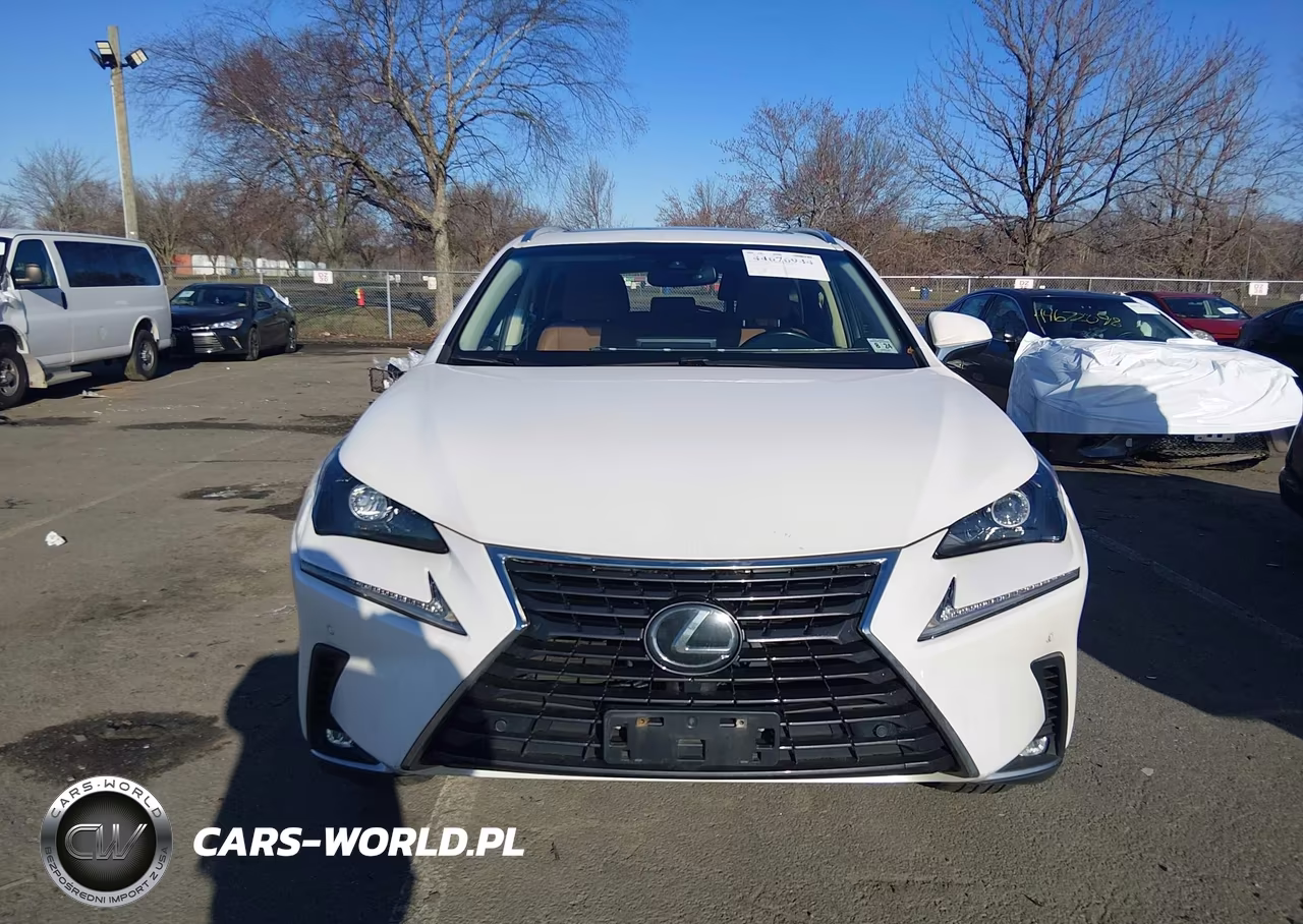 2019 Lexus Nx 300 VIN:JTJBARBZ4K2199953 - 12