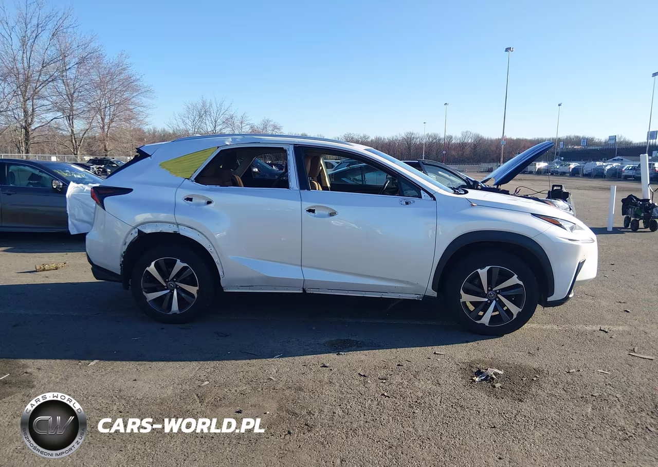 2019 Lexus Nx 300 VIN:JTJBARBZ4K2199953 - 13
