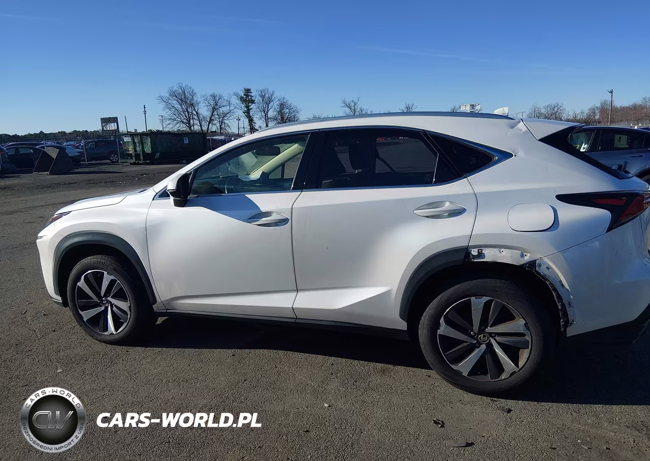 2019 Lexus Nx 300 VIN:JTJBARBZ4K2199953 - 14