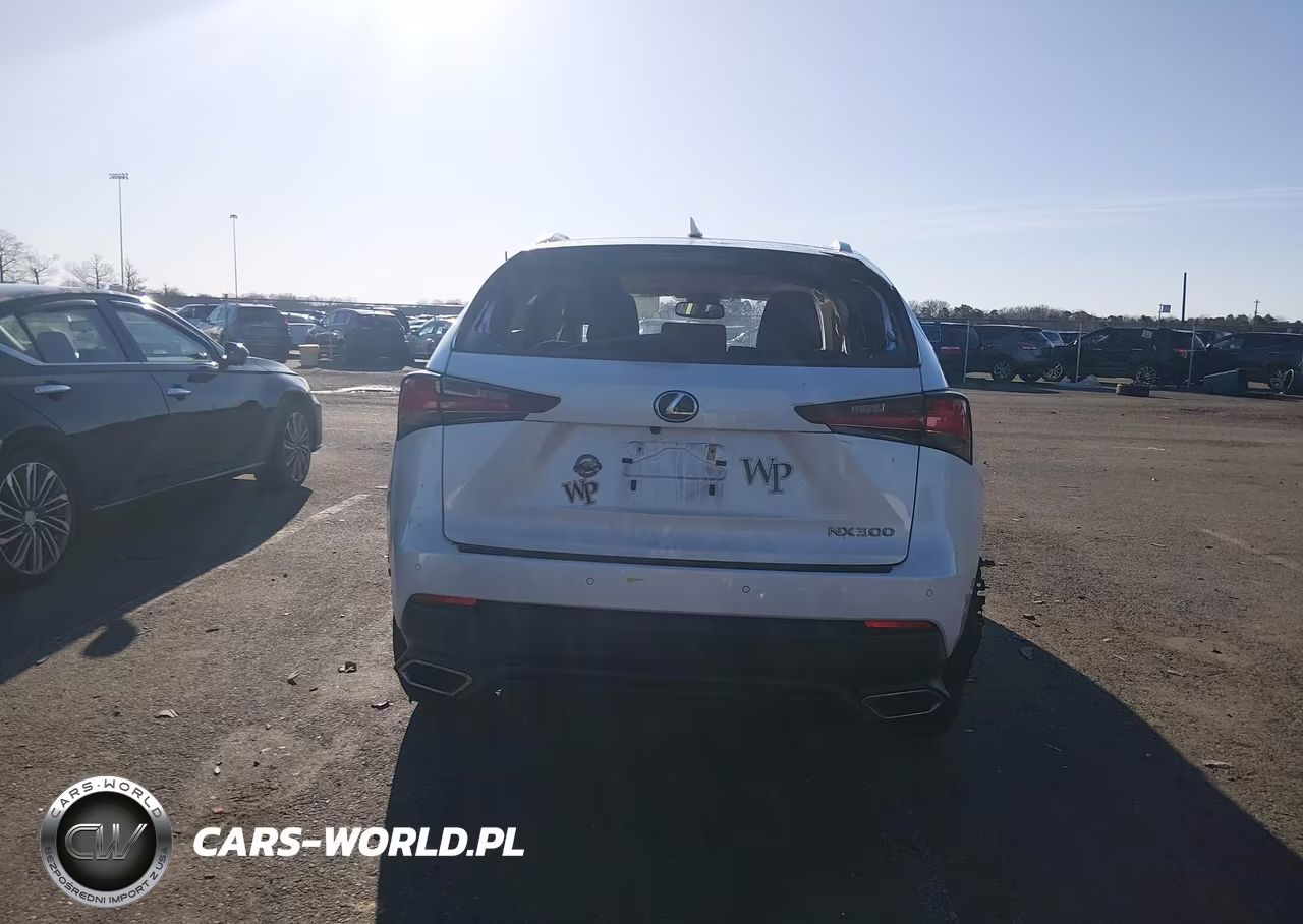 2019 Lexus Nx 300 VIN:JTJBARBZ4K2199953 - 16