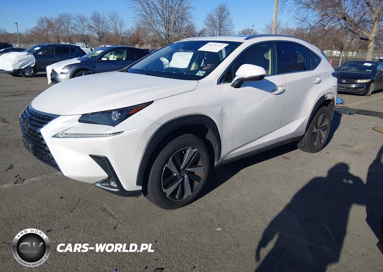 2019 Lexus Nx 300 VIN:JTJBARBZ4K2199953 - 2