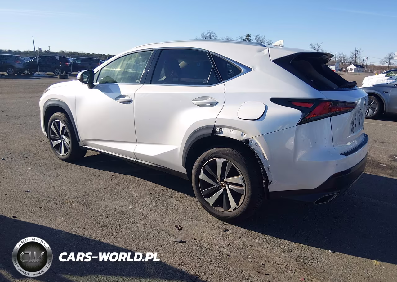 2019 Lexus Nx 300 VIN:JTJBARBZ4K2199953 - 3
