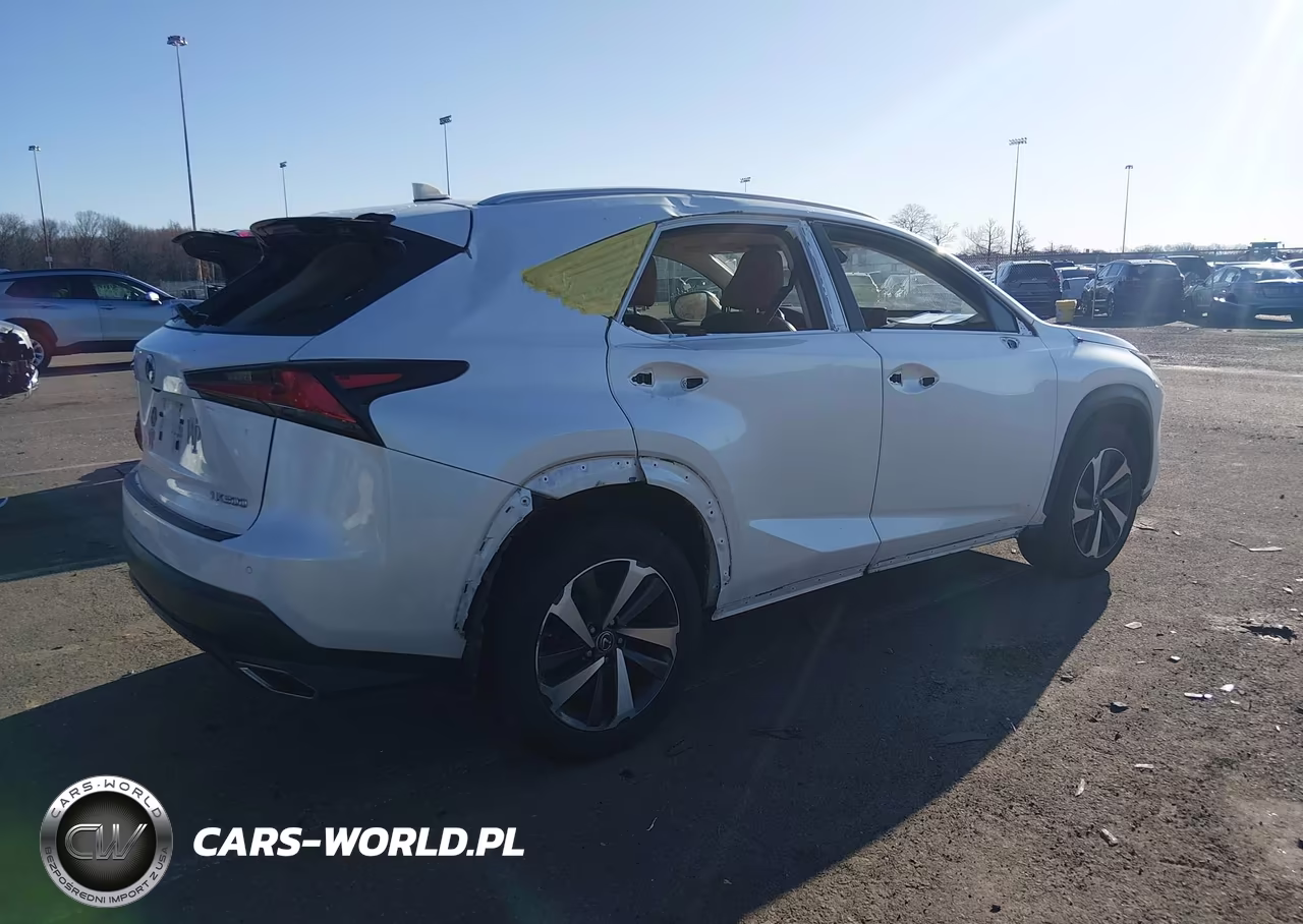 2019 Lexus Nx 300 VIN:JTJBARBZ4K2199953 - 4
