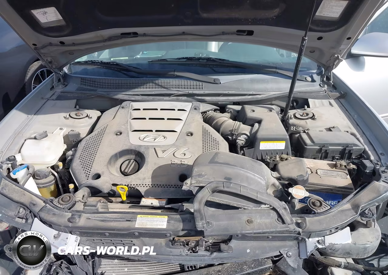 2007 Hyundai Sonata Limited-Se V6 VIN:5NPEU46F57H182918 - 10