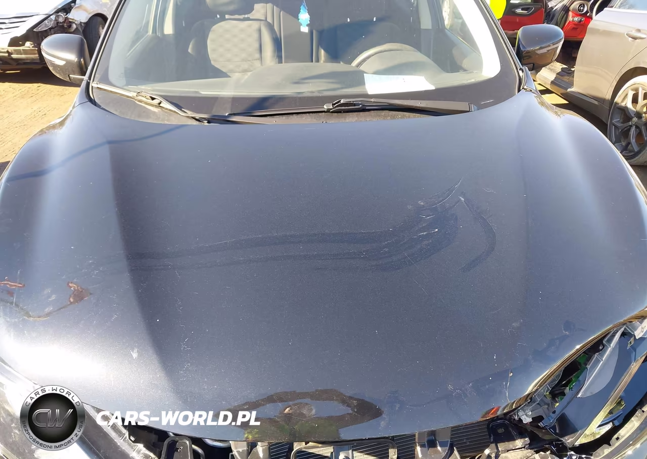 2019 Nissan Rogue Sport Sv VIN:JN1BJ1CR2KW624861 - 19
