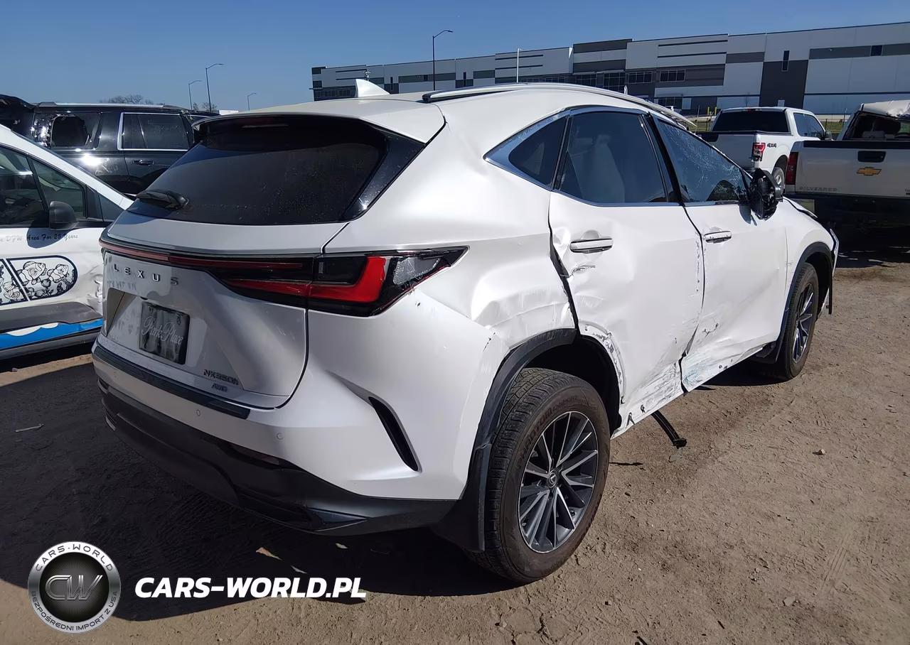 2023 Lexus Nx 350H Premium VIN:2T2GKCEZ5PC011315 - 4