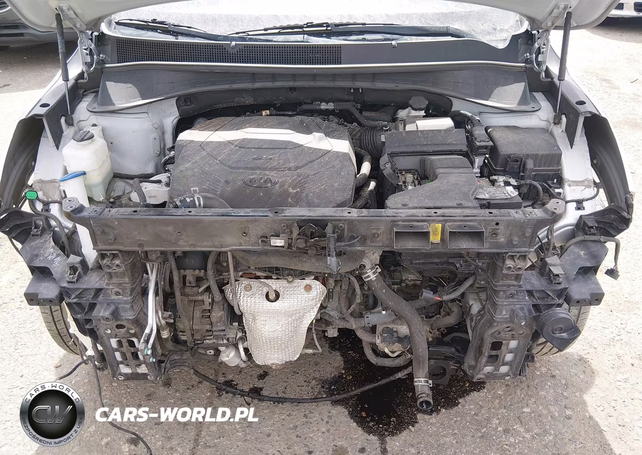 2019 Kia Sorento 3.3L Lx VIN:5XYPGDA53KG486084 - 10