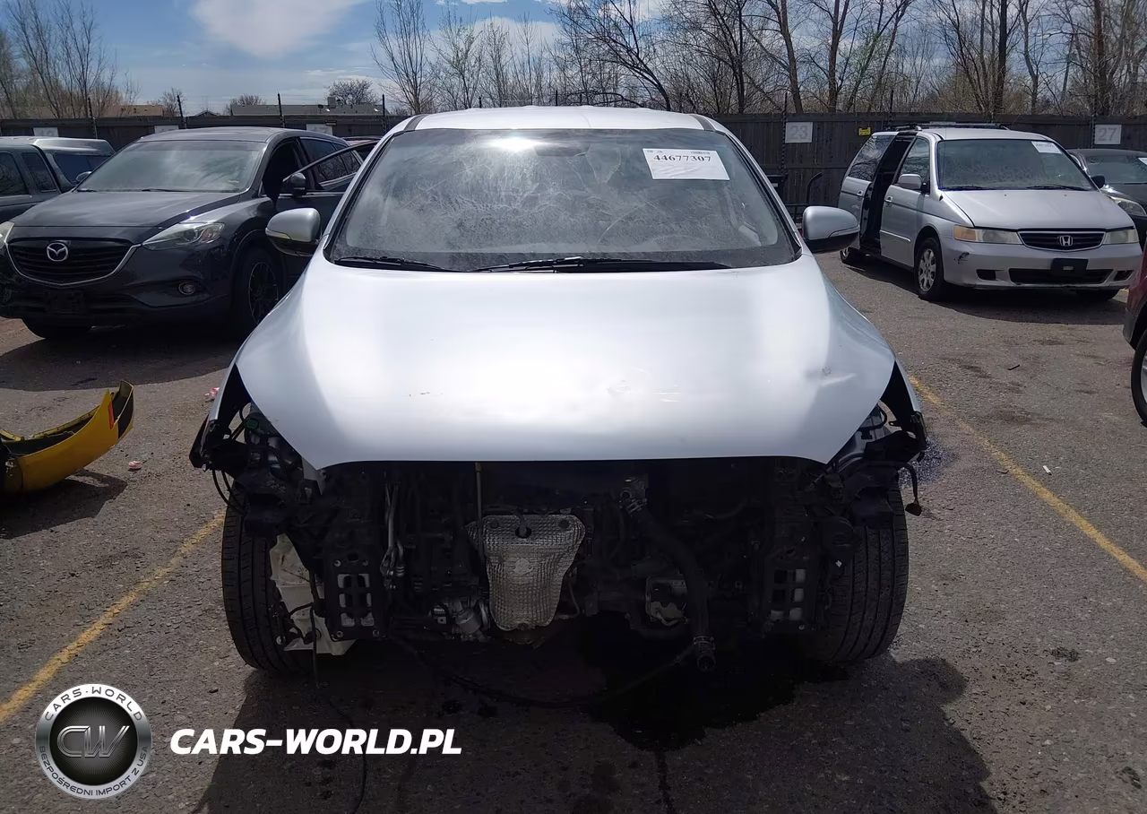 2019 Kia Sorento 3.3L Lx VIN:5XYPGDA53KG486084 - 13