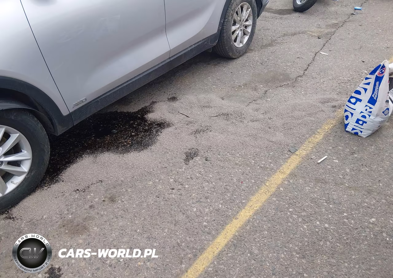 2019 Kia Sorento 3.3L Lx VIN:5XYPGDA53KG486084 - 19