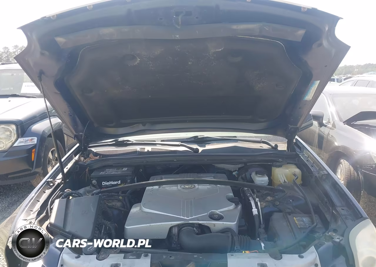 2006 Cadillac Srx V6 VIN:1GYEE637960202647 - 10