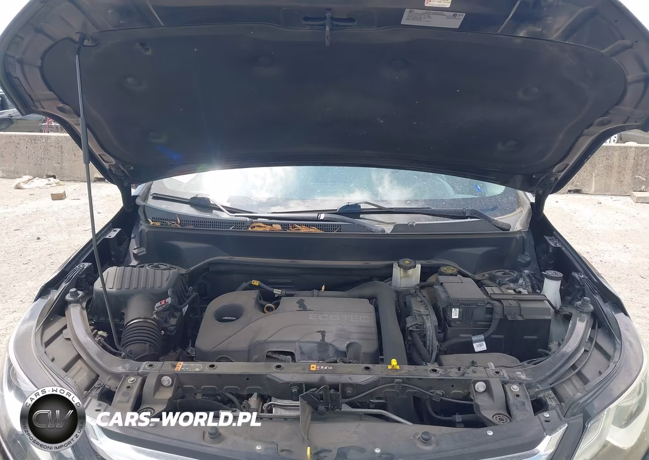 2019 Chevrolet Equinox Ls VIN:2GNAXHEV3K6120993 - 10