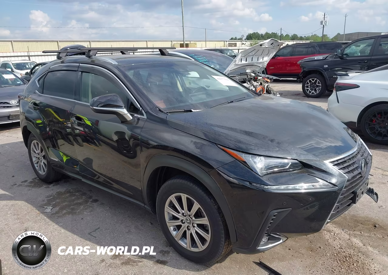 2019 Lexus Nx 300H VIN:JTJBJRBZ8K2113723 - 1