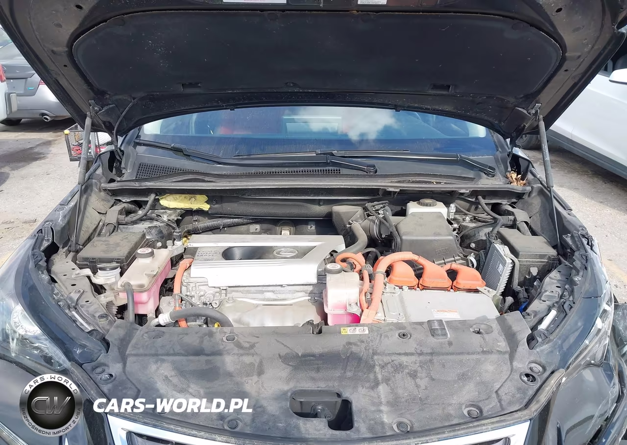 2019 Lexus Nx 300H VIN:JTJBJRBZ8K2113723 - 10
