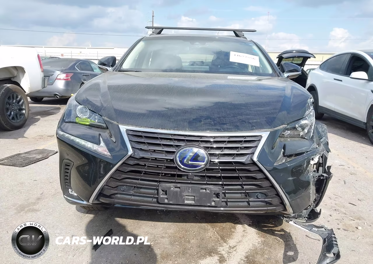 2019 Lexus Nx 300H VIN:JTJBJRBZ8K2113723 - 12