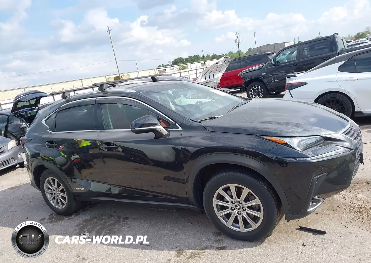2019 Lexus Nx 300H VIN:JTJBJRBZ8K2113723 - 13