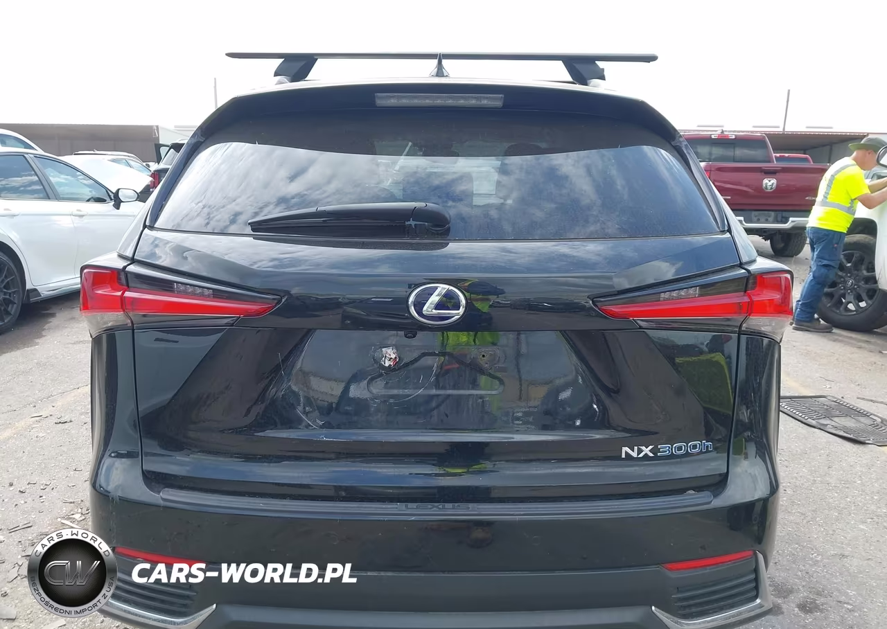 2019 Lexus Nx 300H VIN:JTJBJRBZ8K2113723 - 16