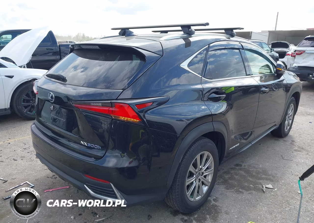 2019 Lexus Nx 300H VIN:JTJBJRBZ8K2113723 - 4