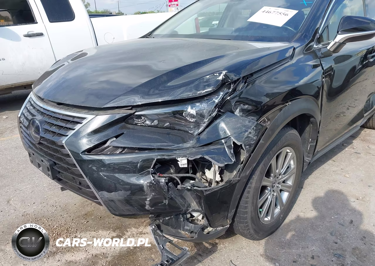 2019 Lexus Nx 300H VIN:JTJBJRBZ8K2113723 - 6