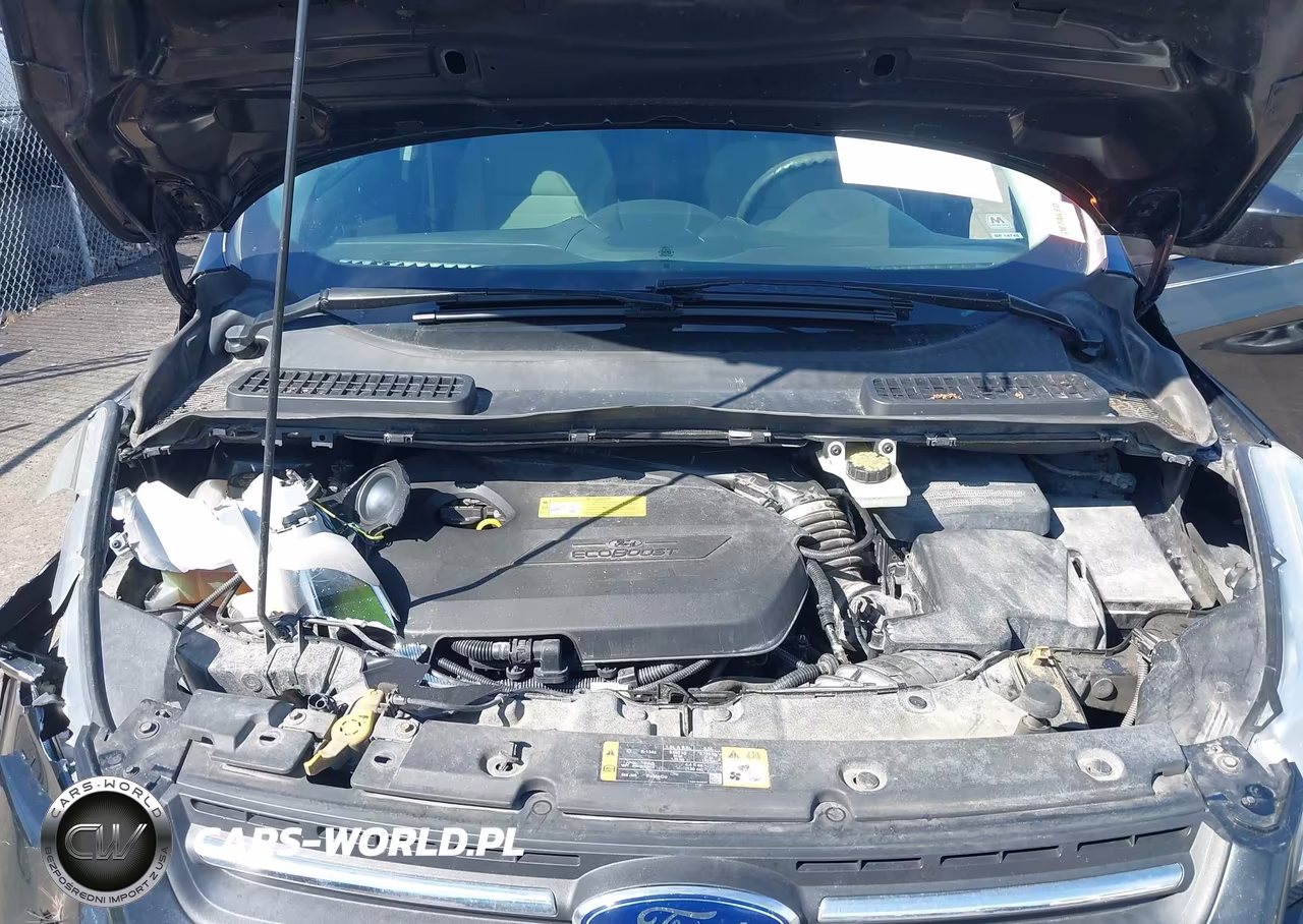2014 Ford Escape Se VIN:1FMCU0GX5EUA27422 - 10