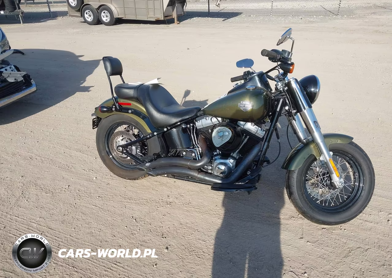 2016 Harley-Davidson Fls Softail Slim VIN:1HD1JRV11GB040639 - 11