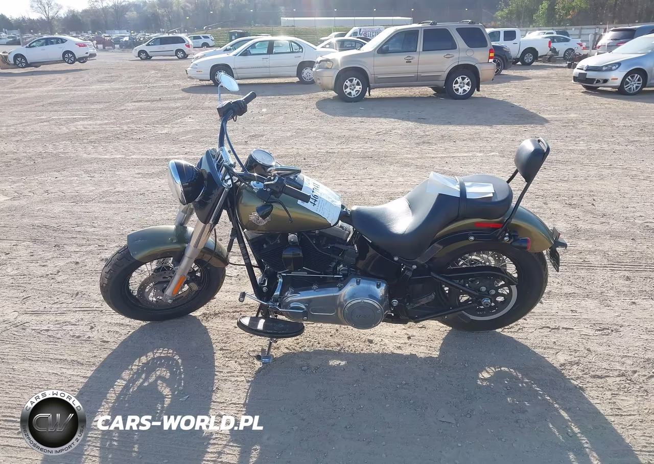 2016 Harley-Davidson Fls Softail Slim VIN:1HD1JRV11GB040639 - 12