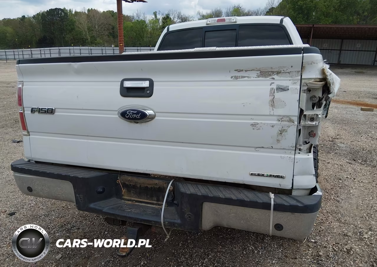 2014 Ford F-150 Xlt VIN:1FTFW1CF7EFA23732 - 12