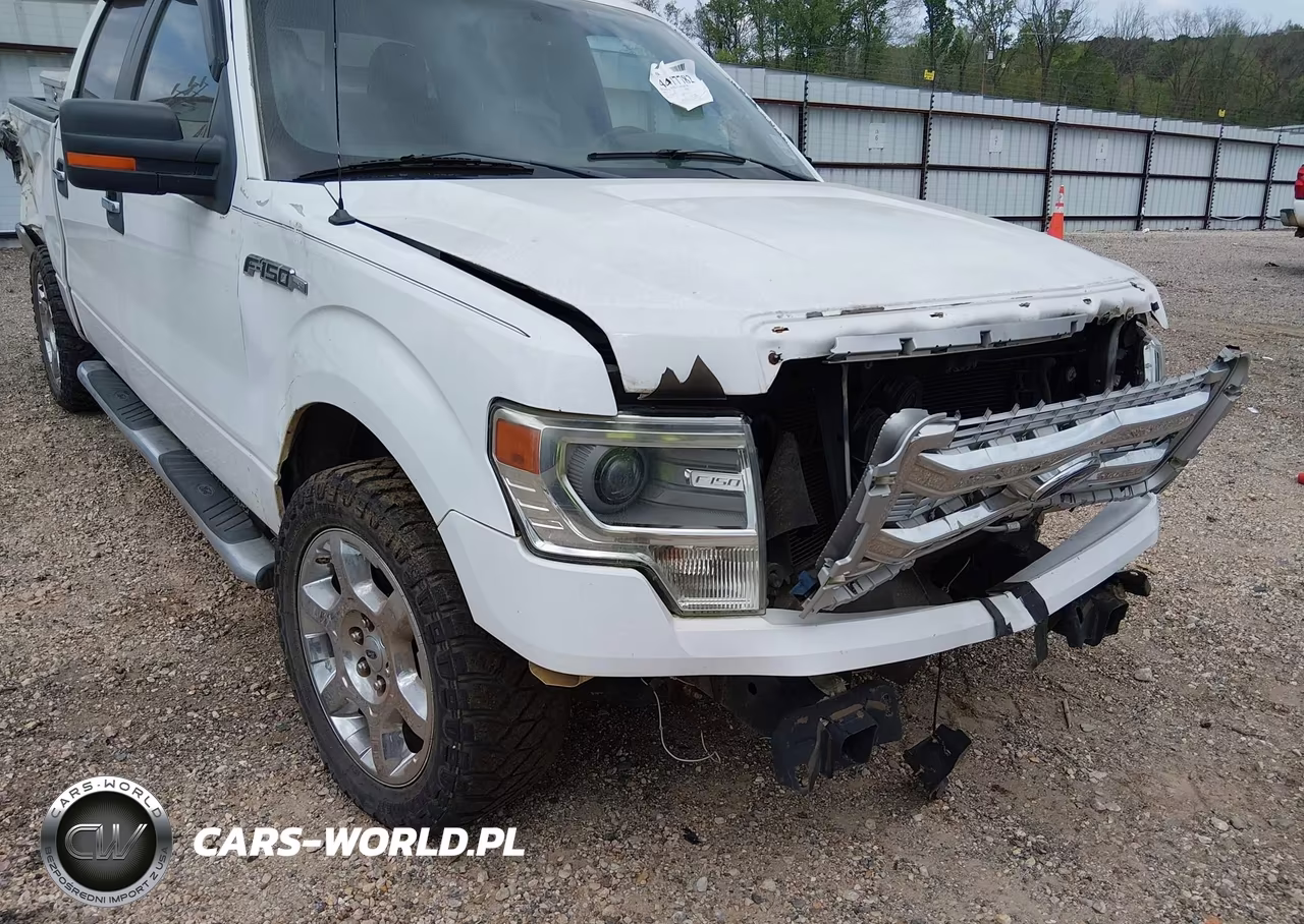2014 Ford F-150 Xlt VIN:1FTFW1CF7EFA23732 - 15