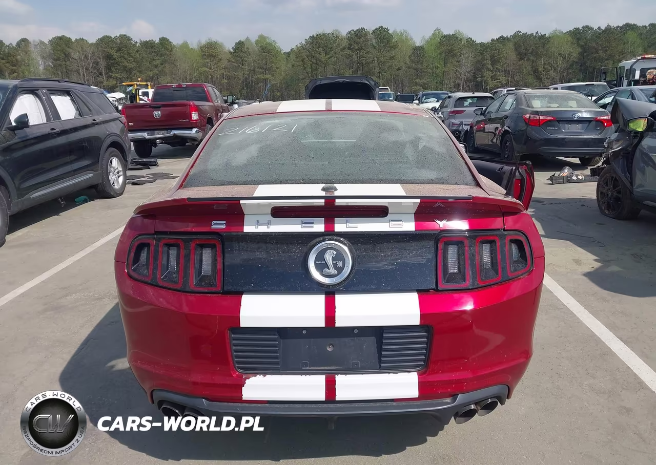 2014 Ford Shelby Gt500 VIN:1ZVBP8JZ1E5263881 - 17