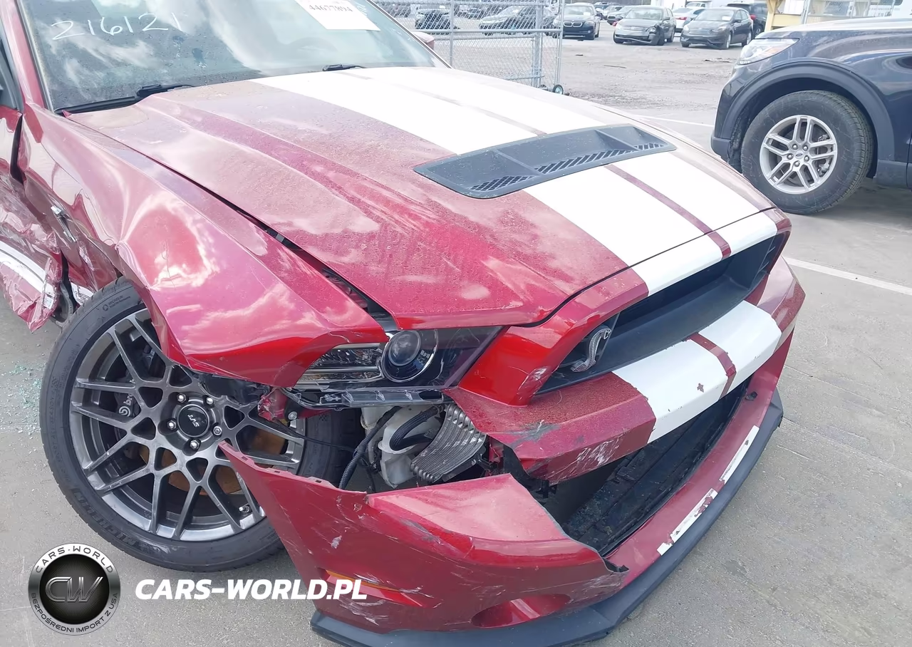 2014 Ford Shelby Gt500 VIN:1ZVBP8JZ1E5263881 - 19