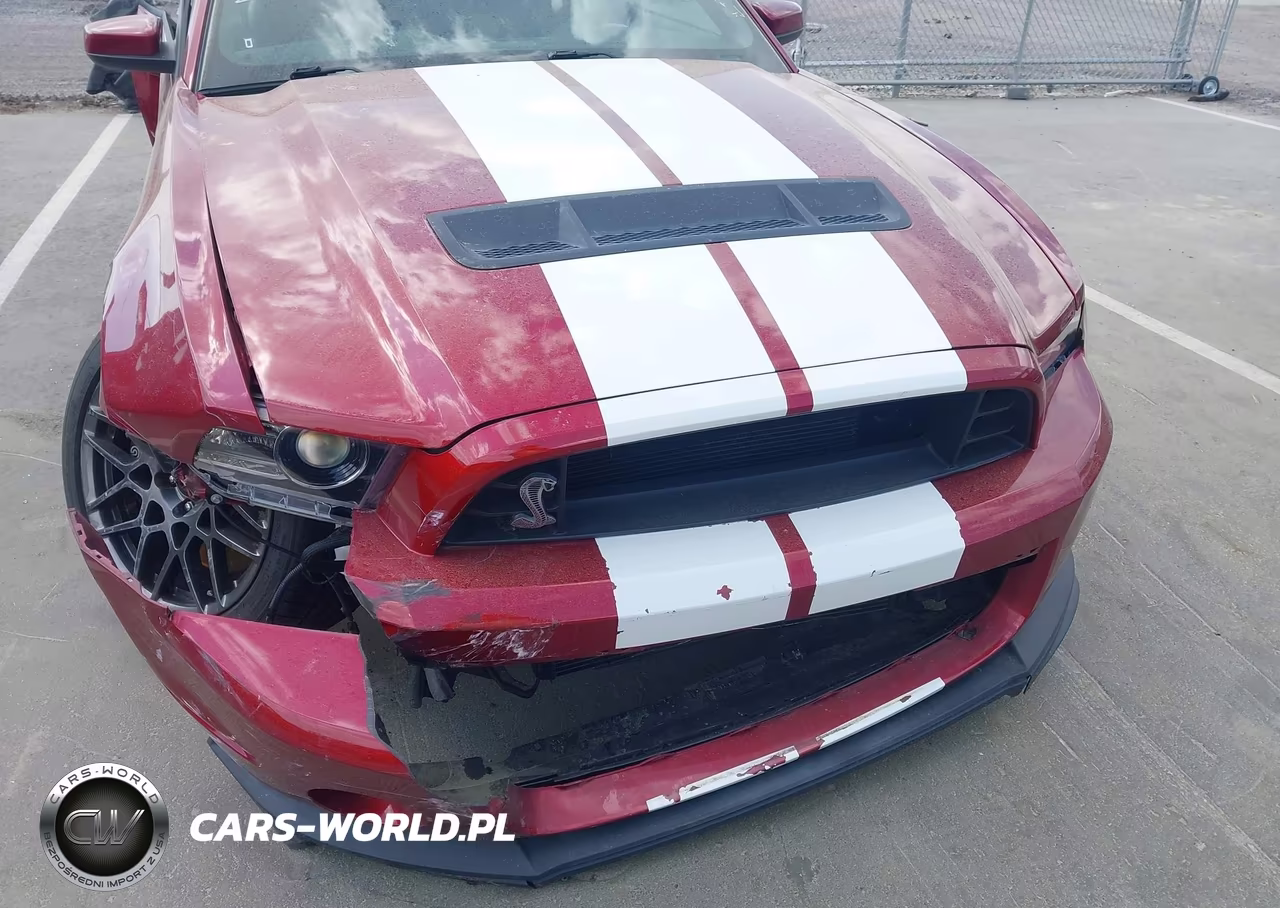 2014 Ford Shelby Gt500 VIN:1ZVBP8JZ1E5263881 - 20