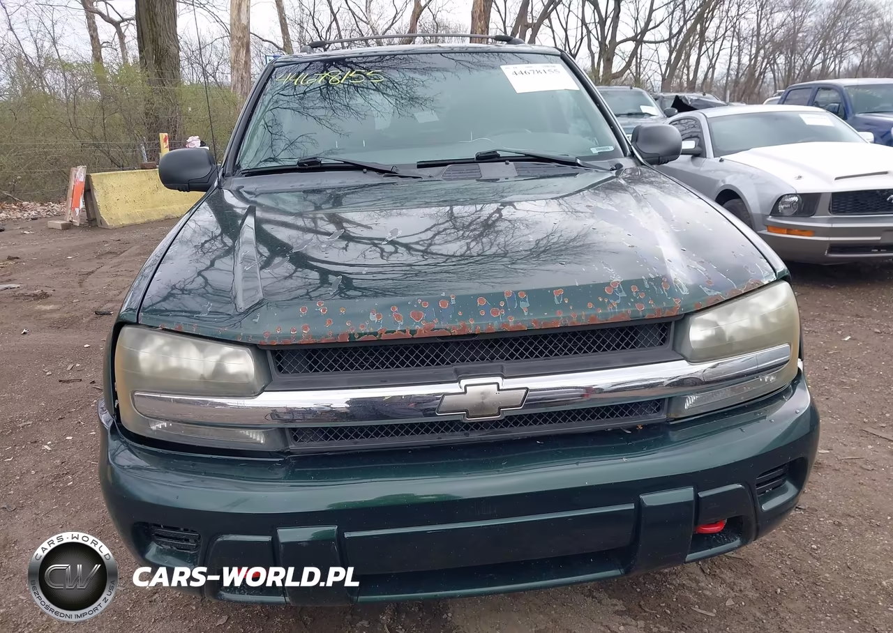 2003 Chevrolet Trailblazer Ls VIN:1GNDT13SX32396756 - 12