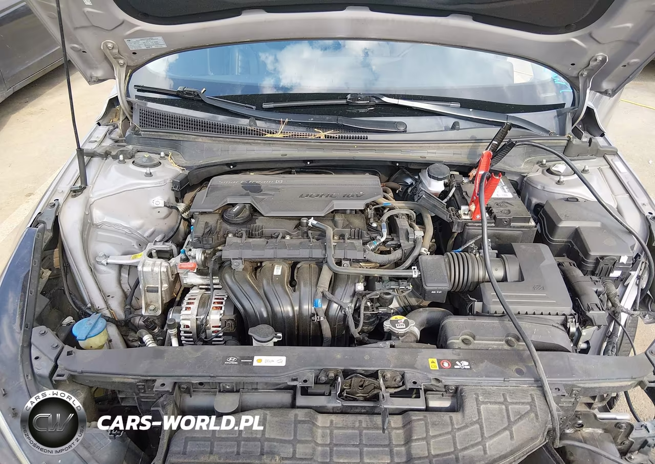 2021 Hyundai Elantra Limited VIN:KMHLP4AG9MU117565 - 10