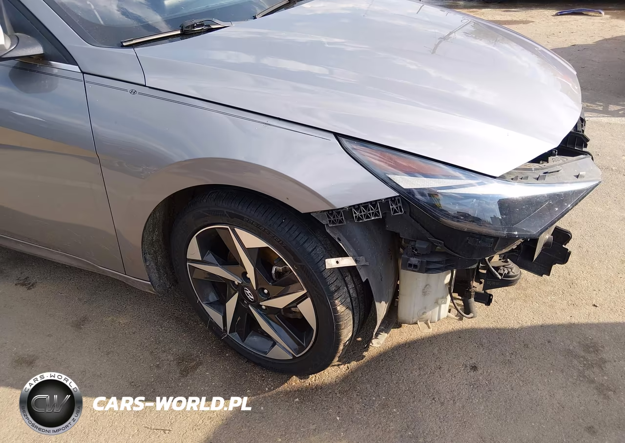 2021 Hyundai Elantra Limited VIN:KMHLP4AG9MU117565 - 18