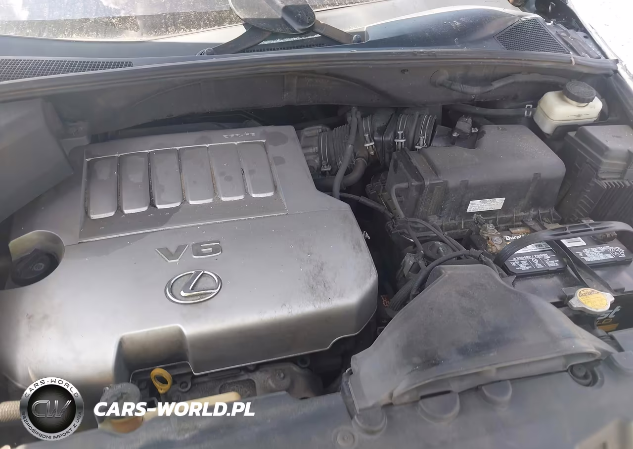 2009 Lexus Rx 350 VIN:2T2GK31U69C073710 - 10