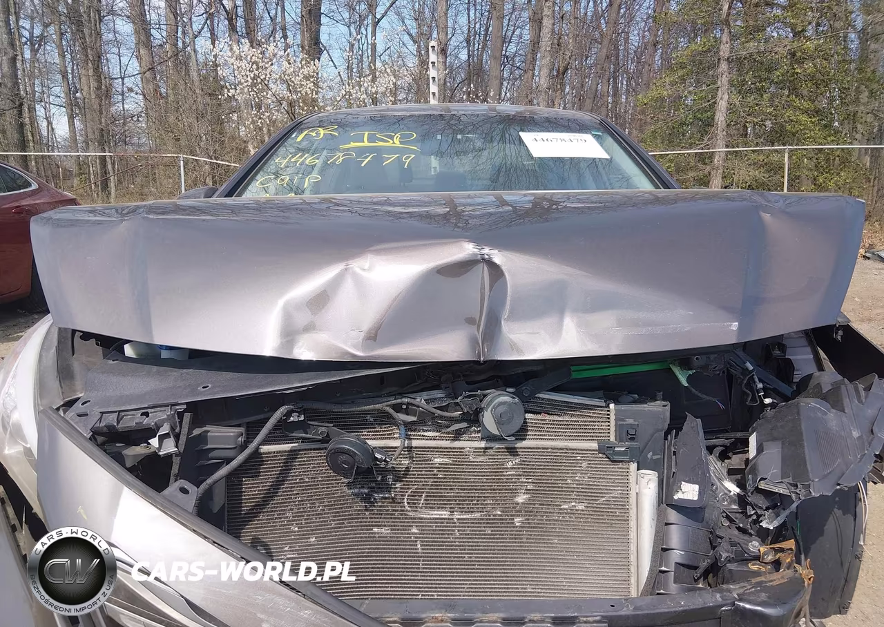 2016 Hyundai Sonata Sport VIN:5NPE34AF4GH429081 - 10