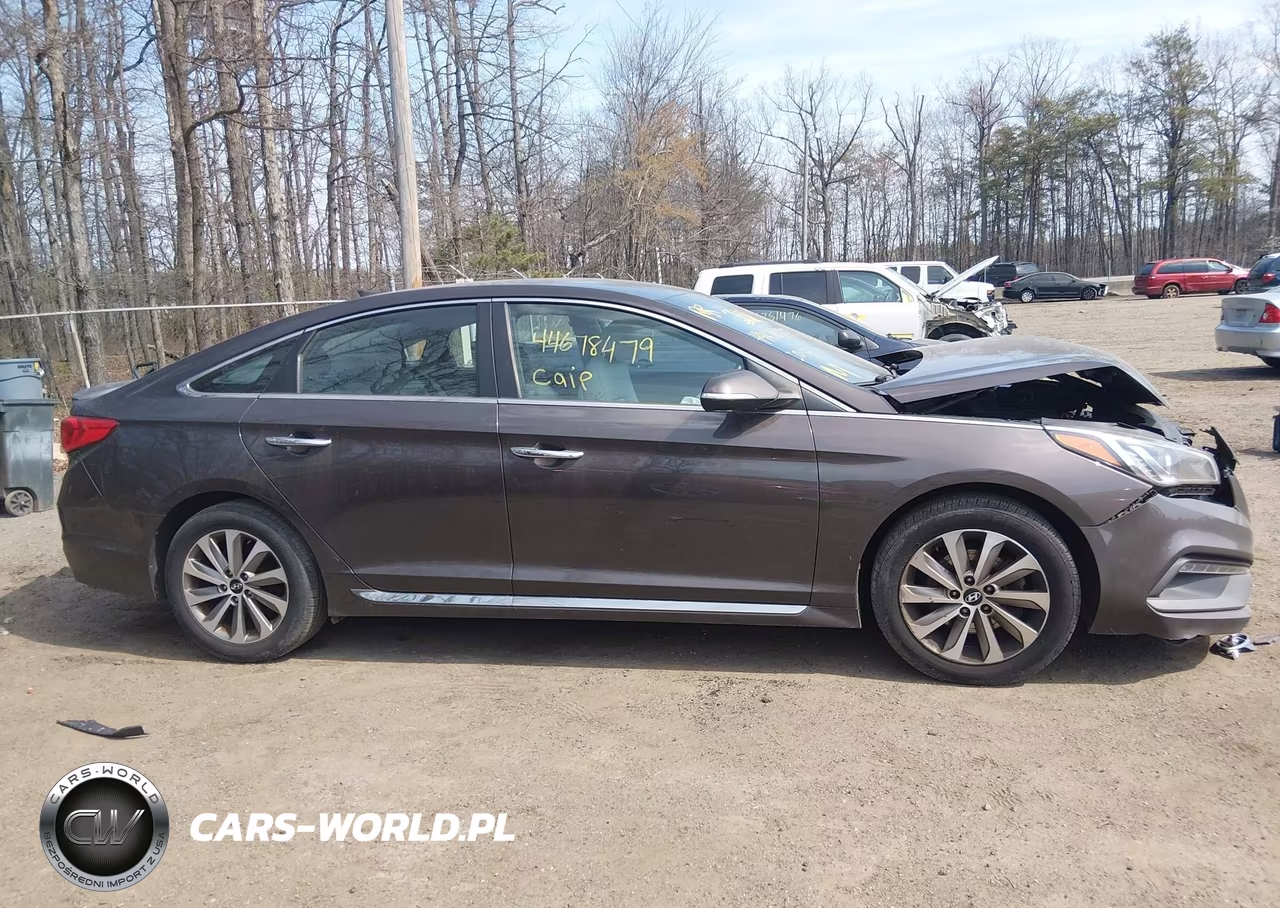2016 Hyundai Sonata Sport VIN:5NPE34AF4GH429081 - 13