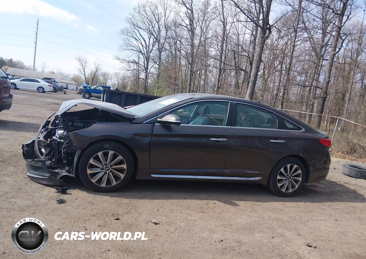 2016 Hyundai Sonata Sport VIN:5NPE34AF4GH429081 - 14